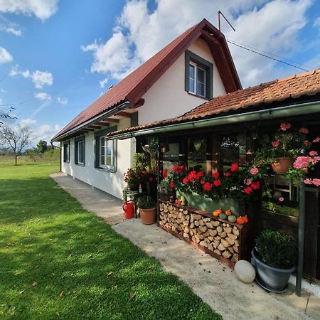 Gospić Village House Flowerside מראה חיצוני תמונה