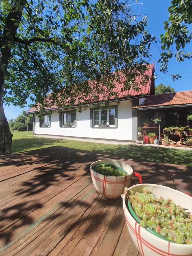 Gospić Village House Flowerside מראה חיצוני תמונה