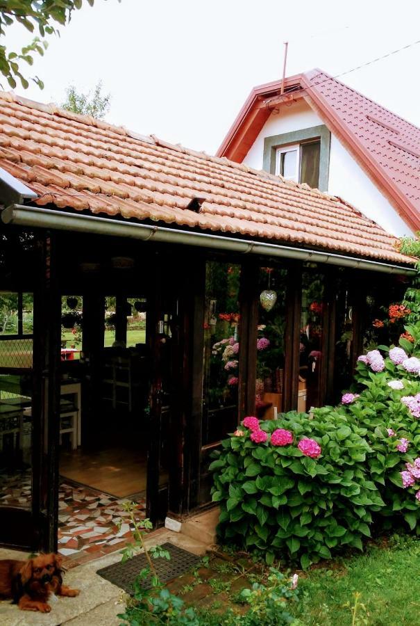 Gospić Village House Flowerside מראה חיצוני תמונה