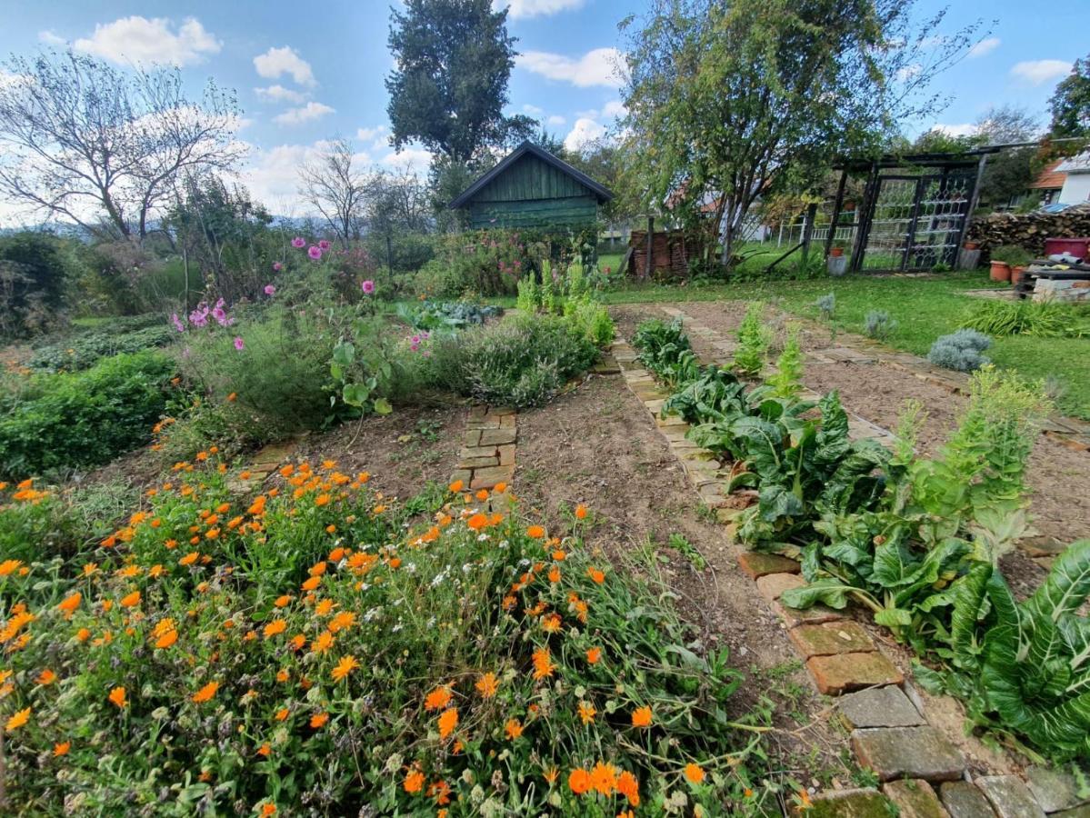 Gospić Village House Flowerside מראה חיצוני תמונה