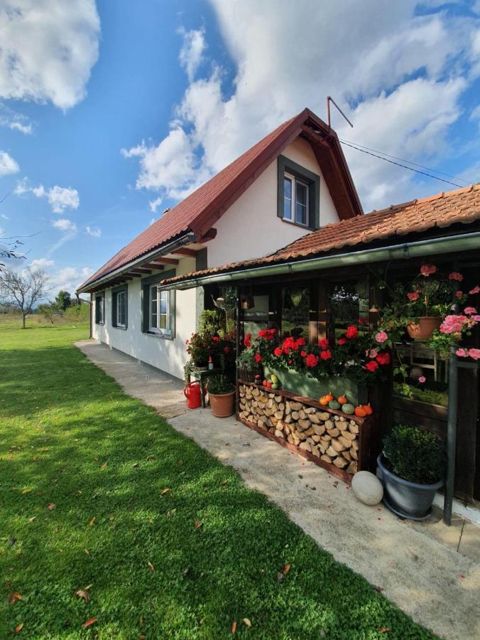 Gospić Village House Flowerside מראה חיצוני תמונה