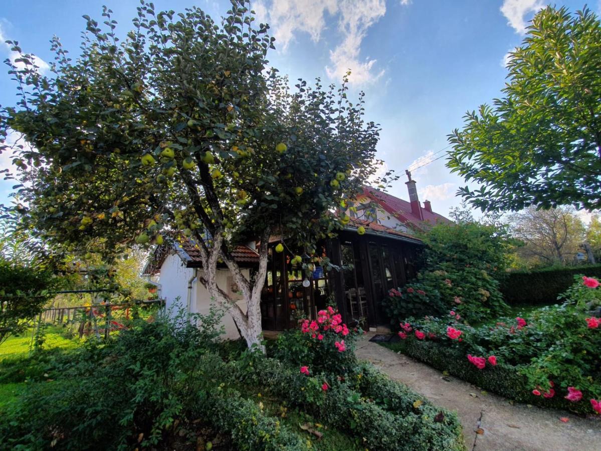 Gospić Village House Flowerside מראה חיצוני תמונה