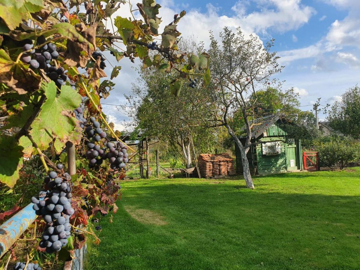 Gospić Village House Flowerside מראה חיצוני תמונה